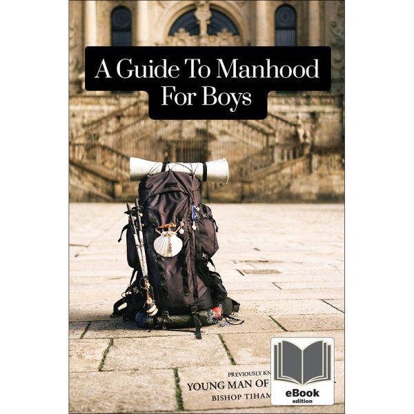 A Guide to Manhood for Boys Sale